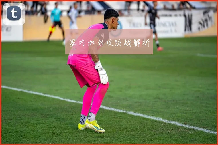 塞内加尔攻防战解析